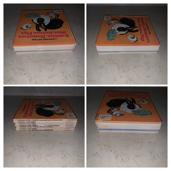 8 Helen Haywood Book Lot Looking After Insects Dogs Cats Fish Horse Birds Mice - Picture 2 of 15